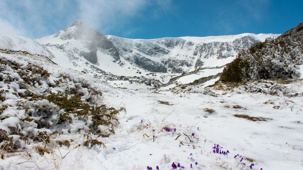 rila monastery and seven lakes tour