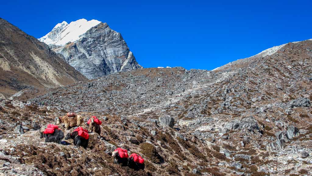 Trail to outlet everest base camp