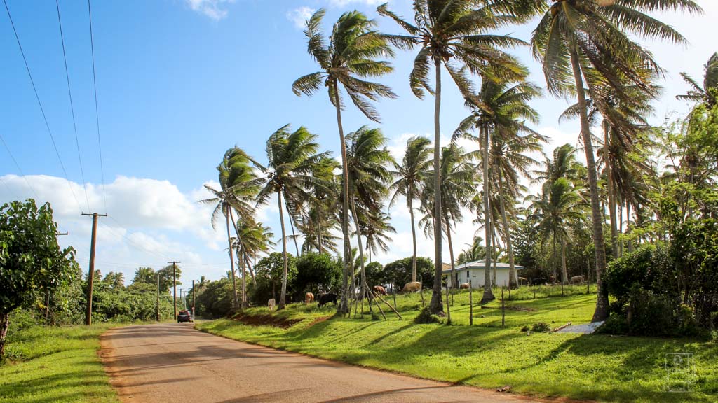 A Memorable Guide: Exploring Tonga as a New Zealander Tourist - Outdoor Adventures in Tonga