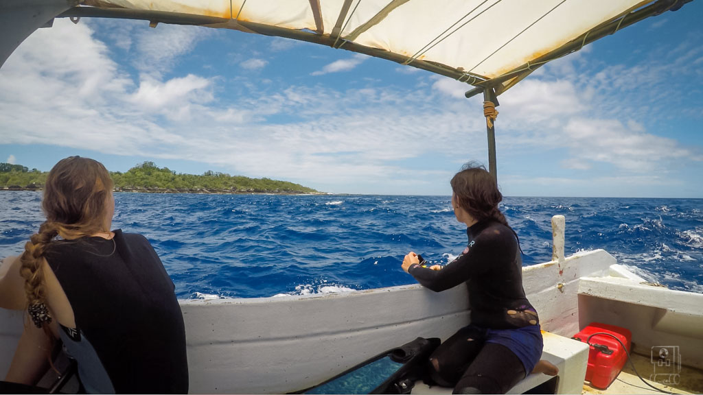 A Memorable Guide: Exploring Tonga as a New Zealander Tourist - Tips for a Smooth Travel Experience