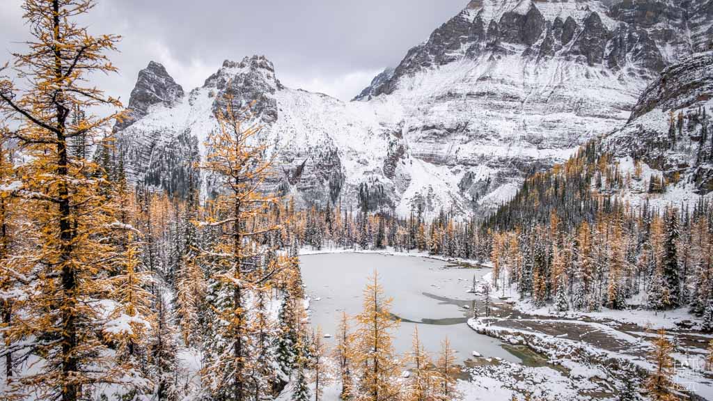 Lake O'Hara, Canada in winter featuring frozen alpine lake surrounded by golden larches and dramatic snow-capped peaks of the Canadian Rockies