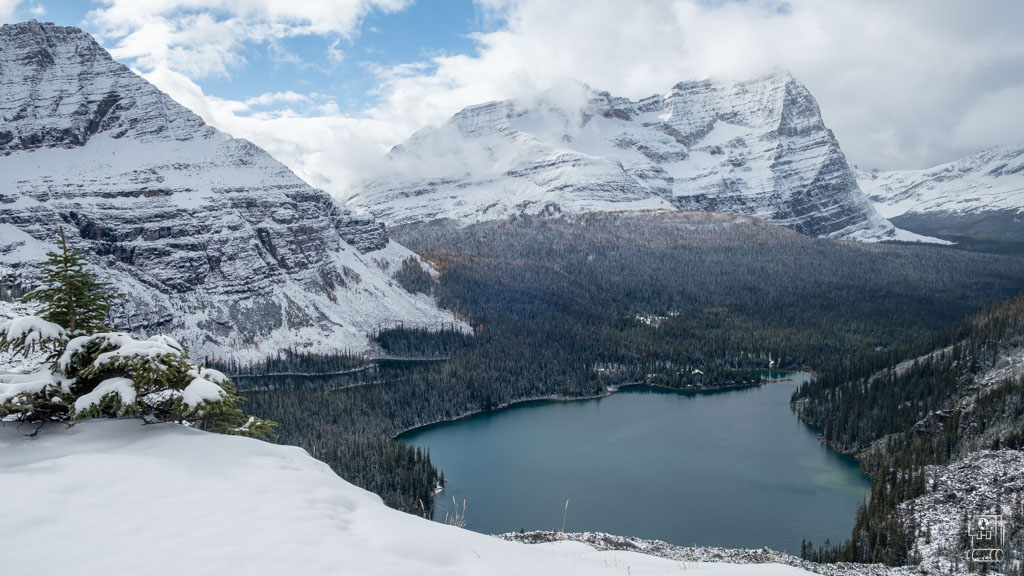 Panoramic winter vista of Lake O'Hara, Canada showing turquoise waters surrounded by snow-covered peaks and pristine wilderness