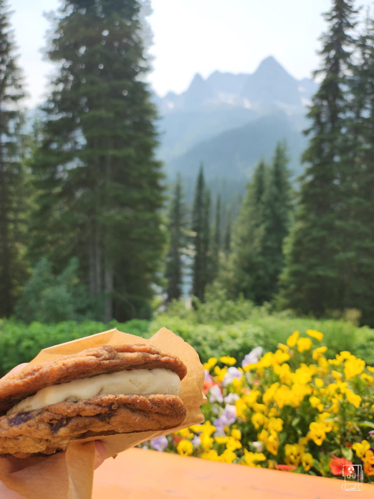 Ice cream sandwich dessert held against mountain vistas and wildflowers, highlighting the scenic dining experiences at Fernie's mountain restaurants