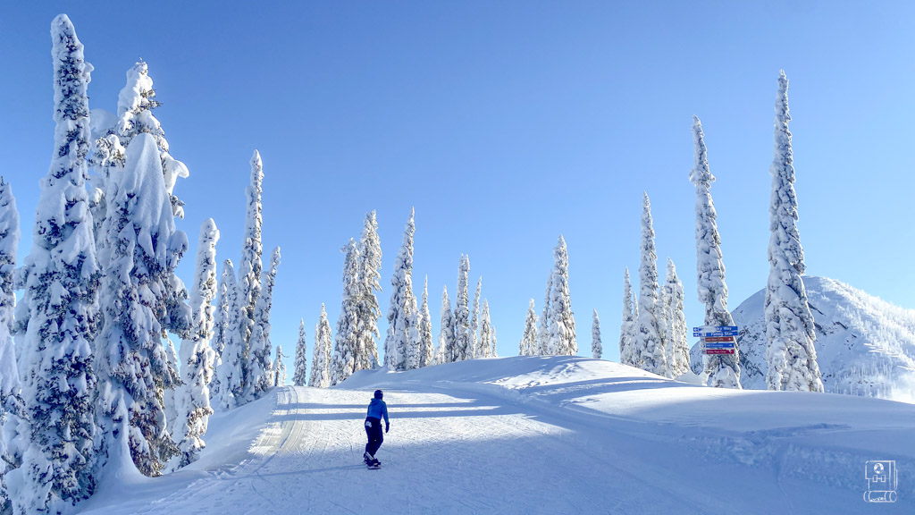Solo snowboarder on groomed trail surrounded by ghost trees under blue sky at Fernie, featured in comprehensive Fernie Ski Resort Guide
